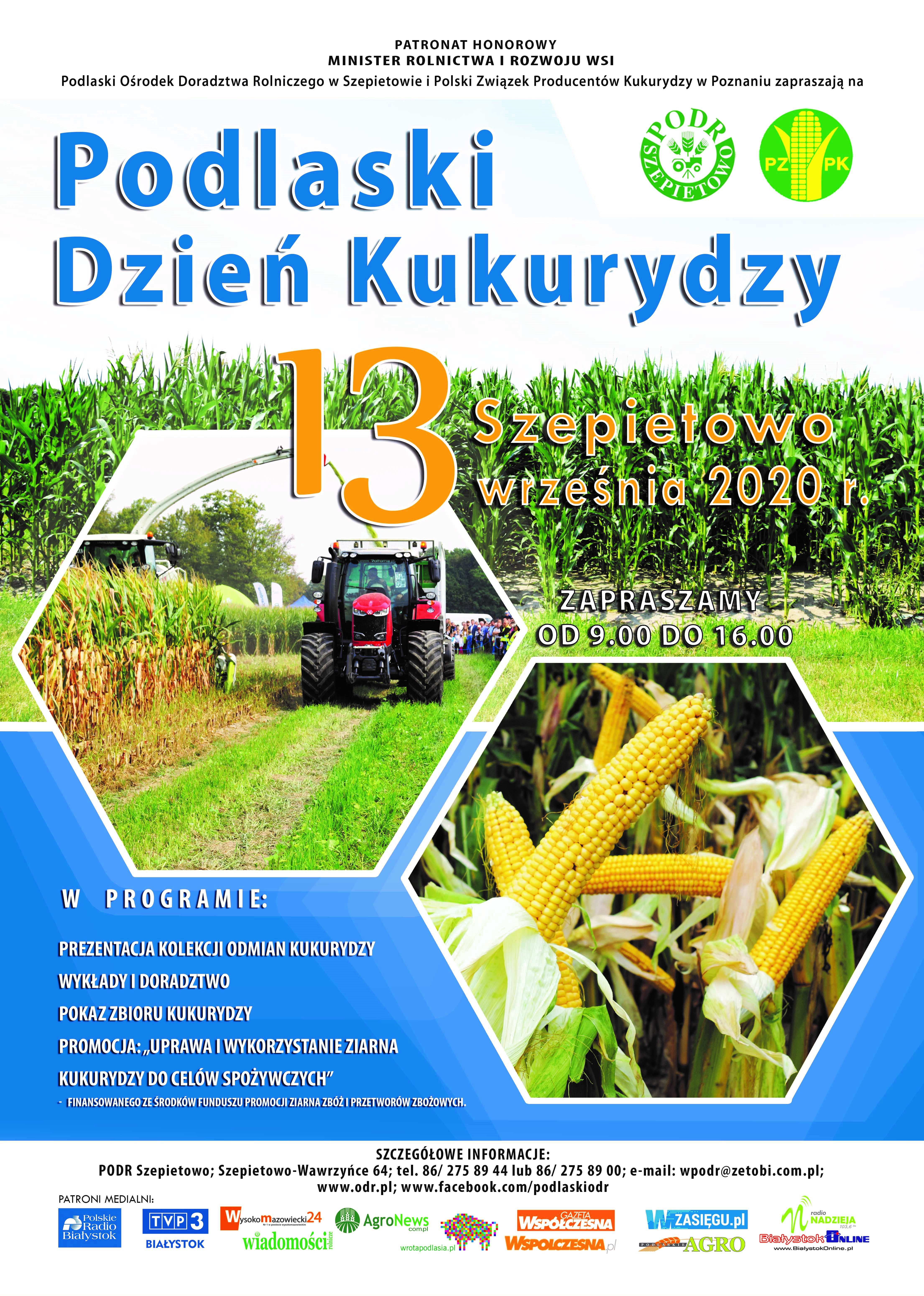 plakat kukurydza